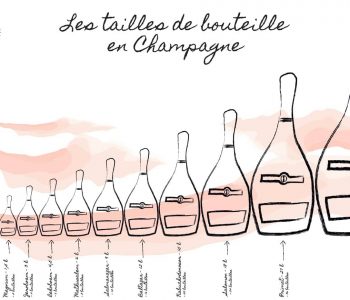 taille de bouteille de champagne selon le Domaine Julien Chopin à Monthelon proche Épernay